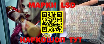 мдпв Гусев