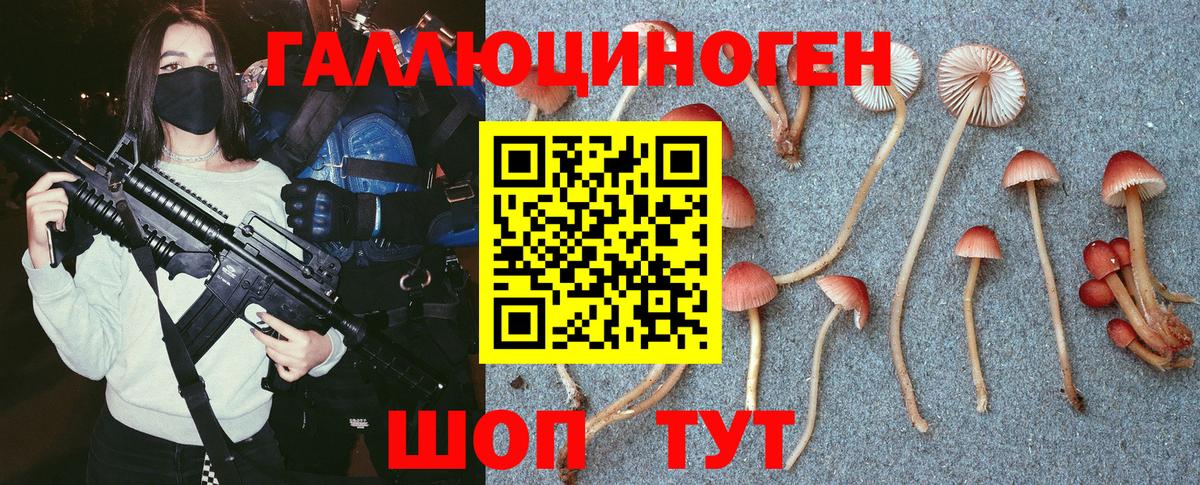 Коломна  Галлюциногенные грибы GOLDEN TEACHER  Псилоцибиновые грибы Psilocybine cubensis  Вход с VPN 