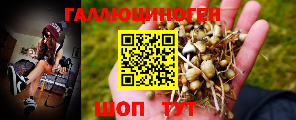 Псилоцибиновые грибы MAGIC MUSHROOMS Коломна
